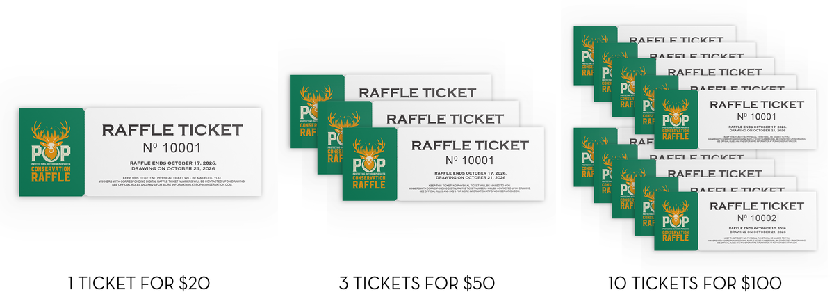 2026 POP Raffle Ticket